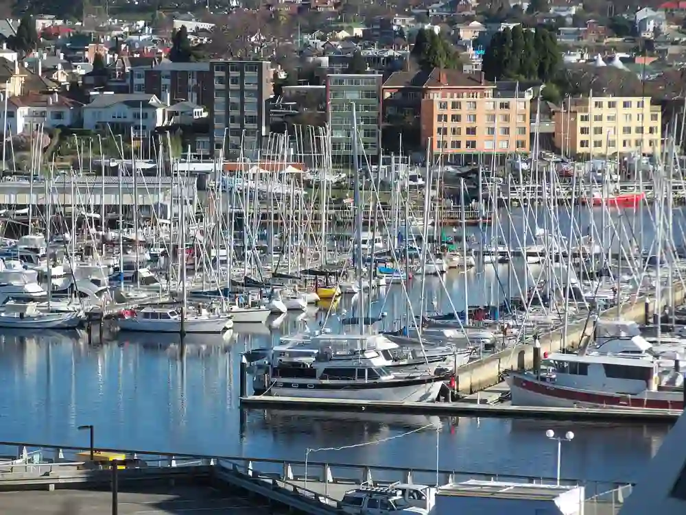 Yachts in the marina at Sandy Bay with houses on the hill behind