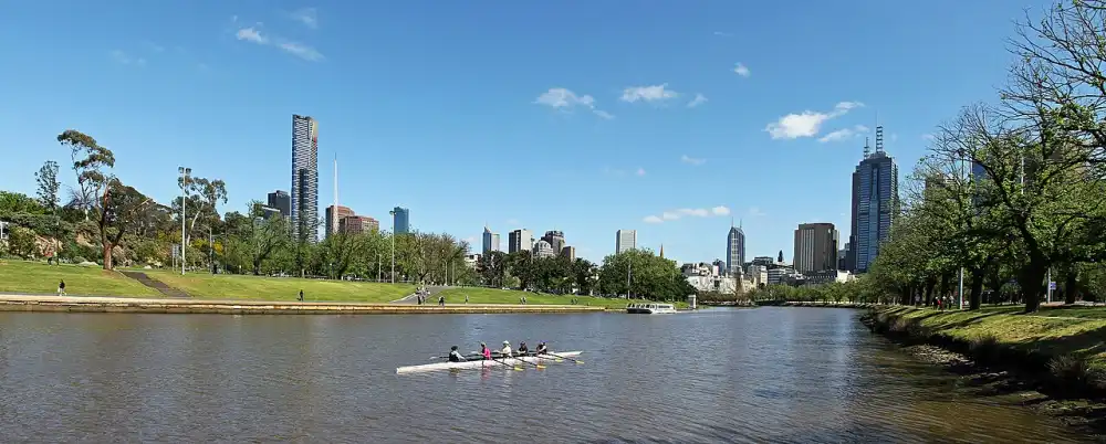 Rowers on the Yarra River with parkland and Melbourne city towers behind